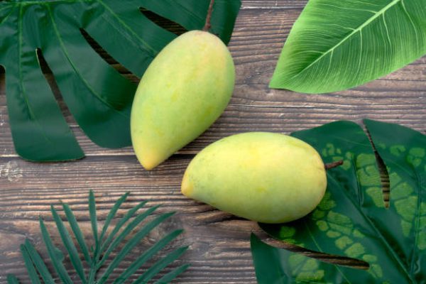 Mangos on table and green leafs top view